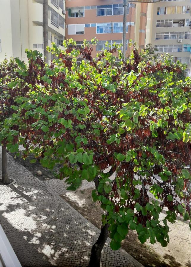 Casinha Da Ria Apartment Faro Exterior photo